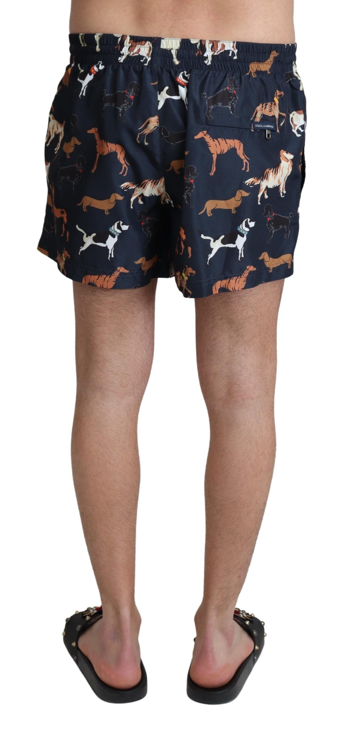 Dolce &amp; Gabbana Short de plage à imprimé chien bleu Homme Maillots de bain