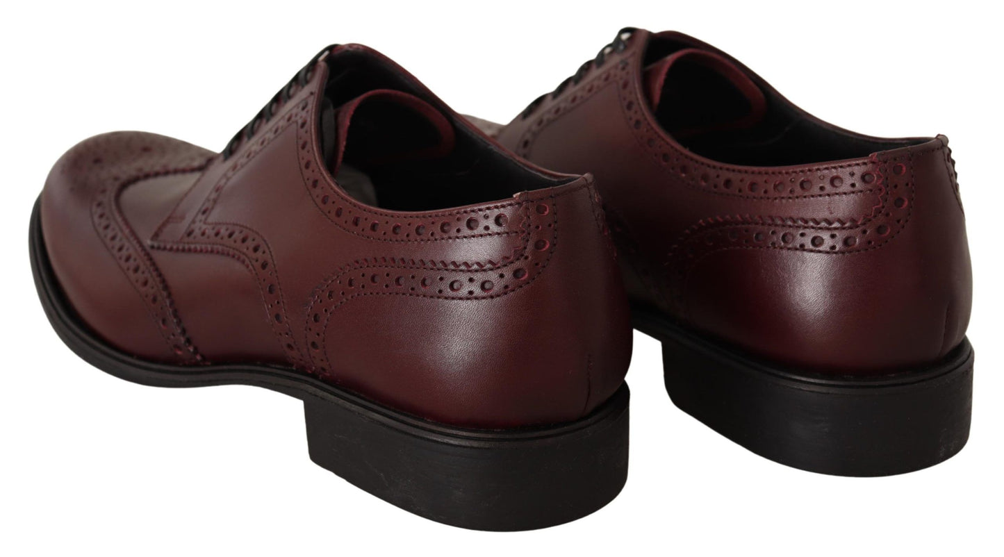 Dolce &amp; Gabbana Chaussures formelles Oxford en cuir bordeaux à bout d'aile