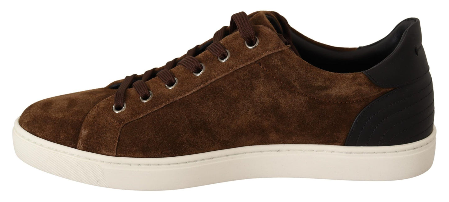 Dolce &amp; Gabbana Baskets basses en cuir suédé marron pour hommes