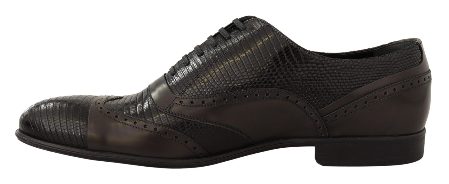 Dolce &amp; Gabbana Chaussures Oxford en cuir de lézard marron