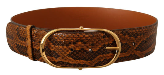 Dolce &amp; Gabbana Ceinture à boucle ovale dorée en cuir exotique marron