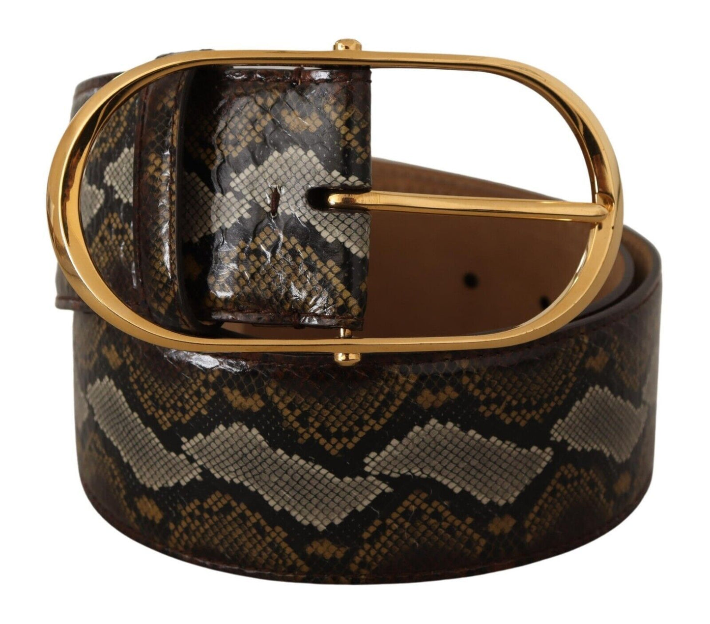 Dolce &amp; Gabbana Ceinture à boucle ovale dorée en cuir python marron