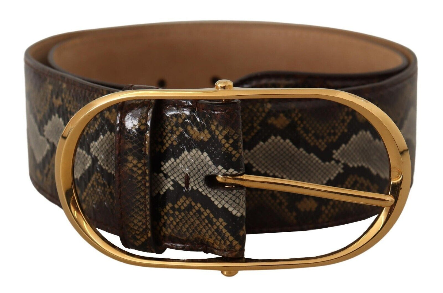 Dolce &amp; Gabbana Ceinture à boucle ovale dorée en cuir python marron