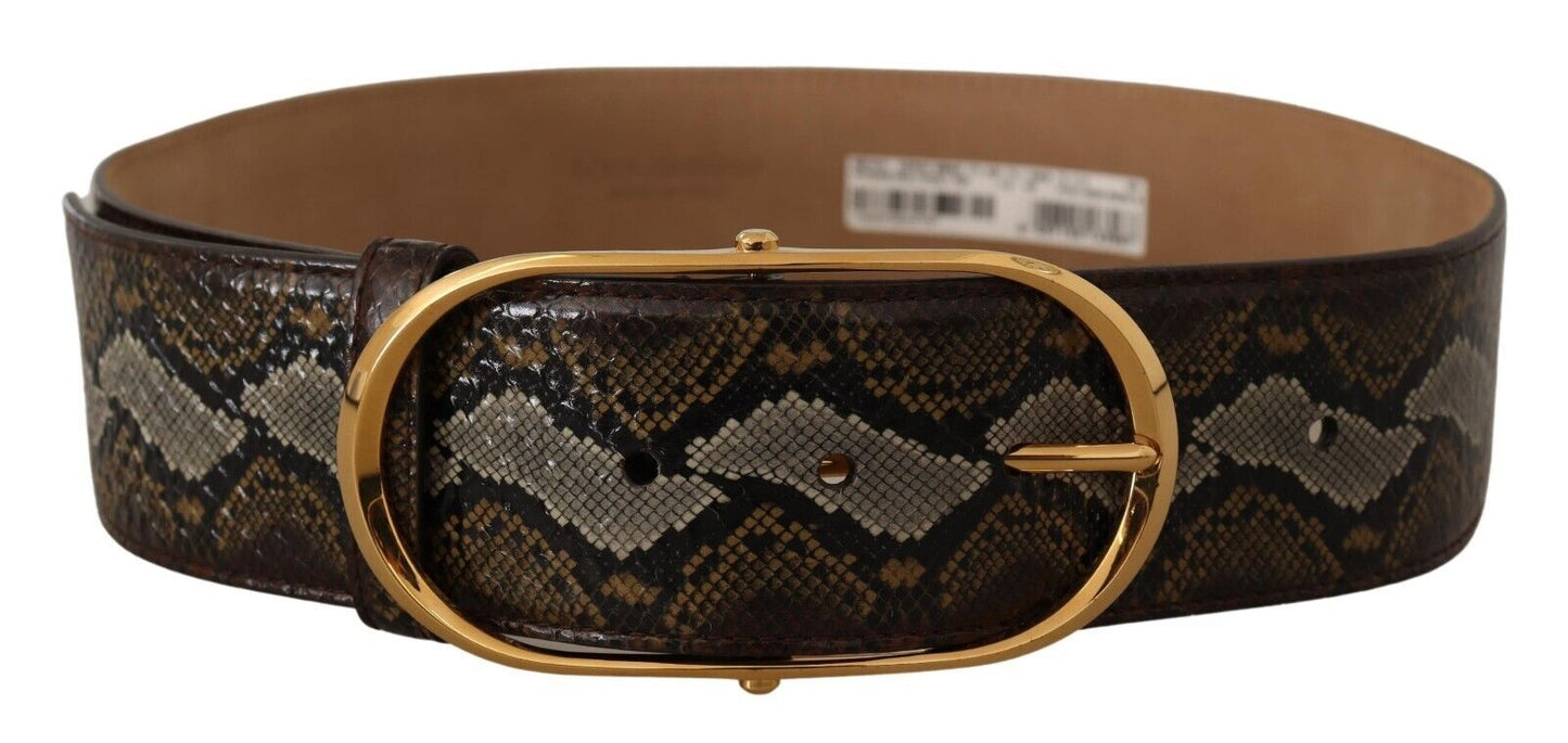 Dolce &amp; Gabbana Ceinture à boucle ovale dorée en cuir python marron