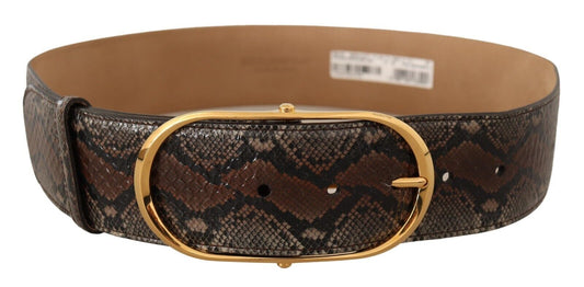 Dolce &amp; Gabbana Ceinture à boucle ovale dorée en cuir exotique marron