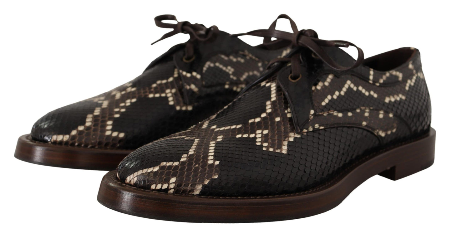 Dolce &amp; Gabbana Brown Derby Chaussures en cuir exotique pour hommes