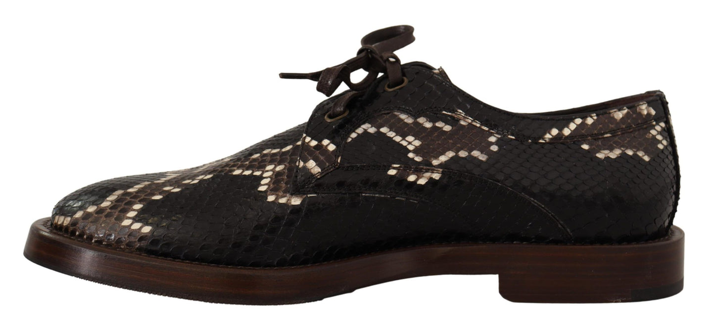 Dolce &amp; Gabbana Brown Derby Chaussures en cuir exotique pour hommes