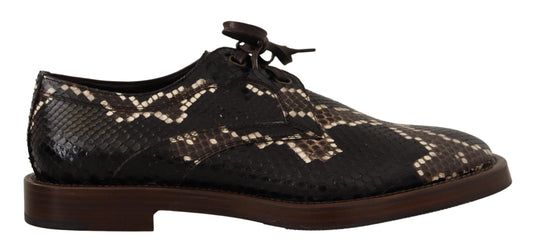 Dolce &amp; Gabbana Brown Derby Chaussures en cuir exotique pour hommes