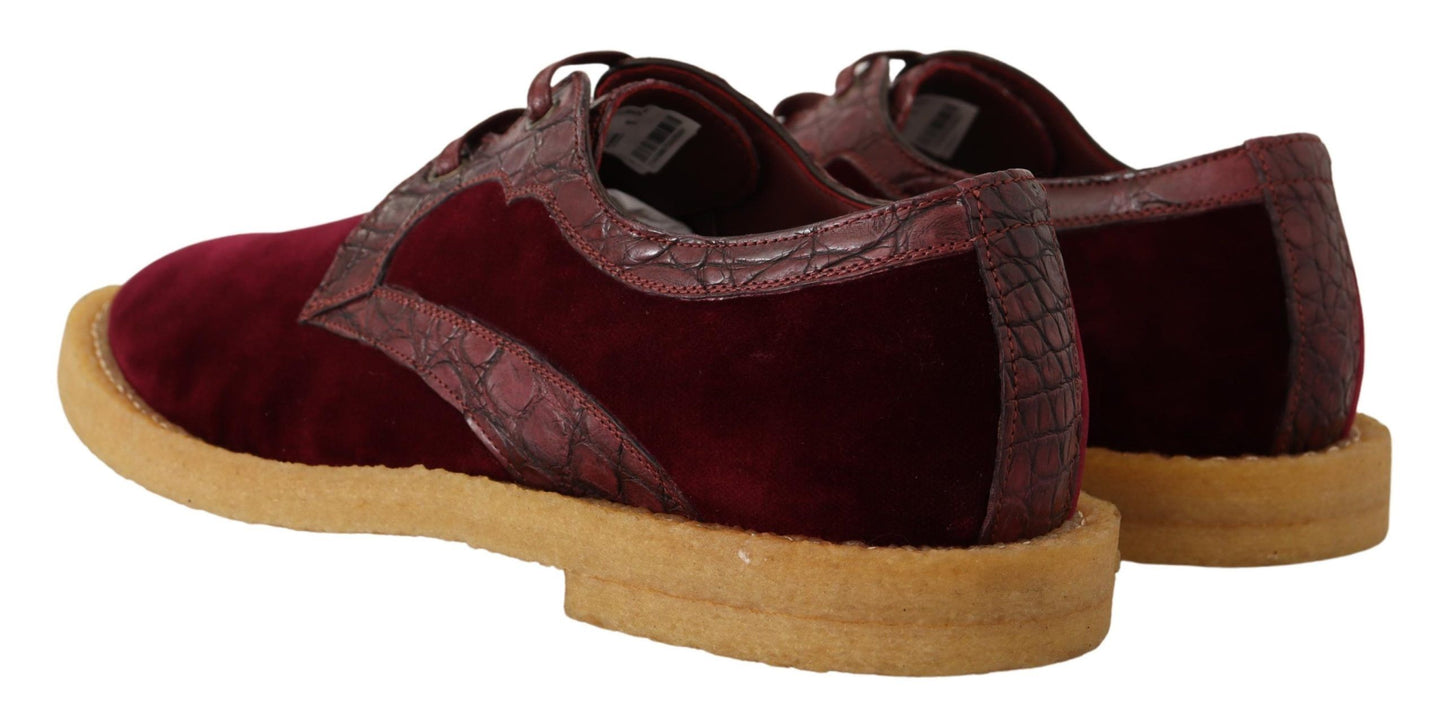 Dolce &amp; Gabbana Chaussures en cuir exotique en velours bordeaux