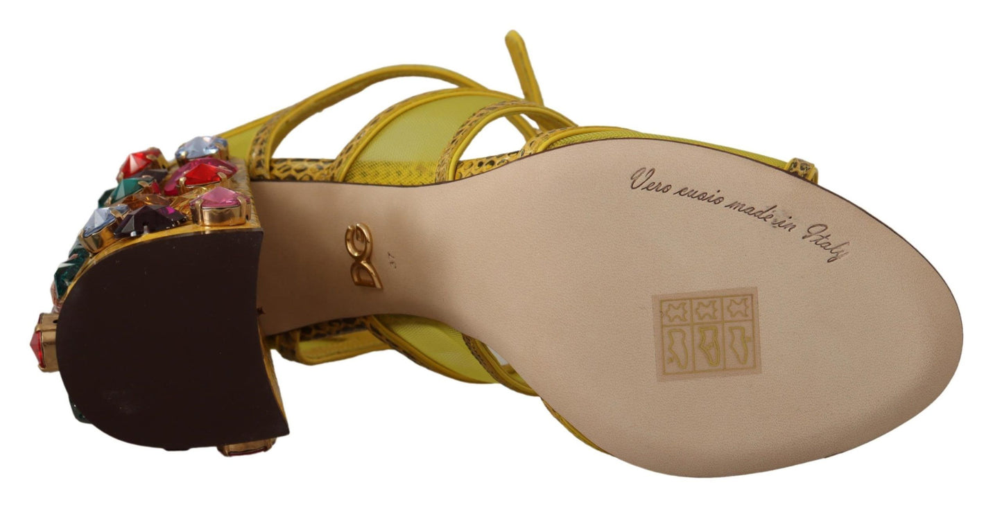 Dolce &amp; Gabbana Sandales Ayers en cuir jaune et cristal