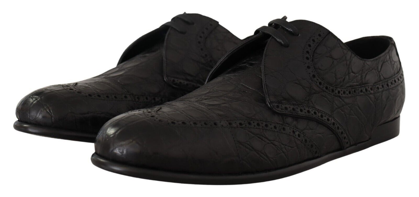 Dolce &amp; Gabbana Chaussures derby en cuir noir Caiman pour hommes