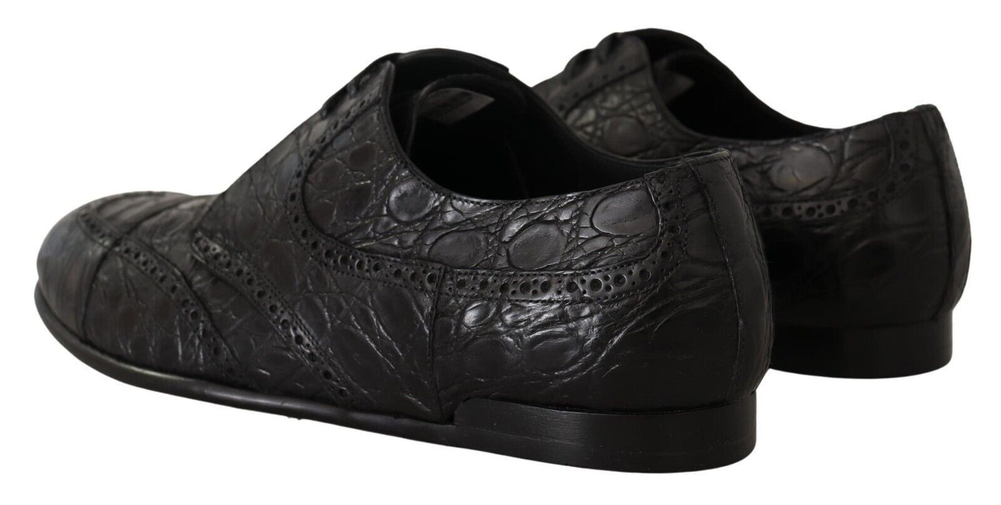 Dolce &amp; Gabbana Chaussures derby en cuir noir Caiman pour hommes