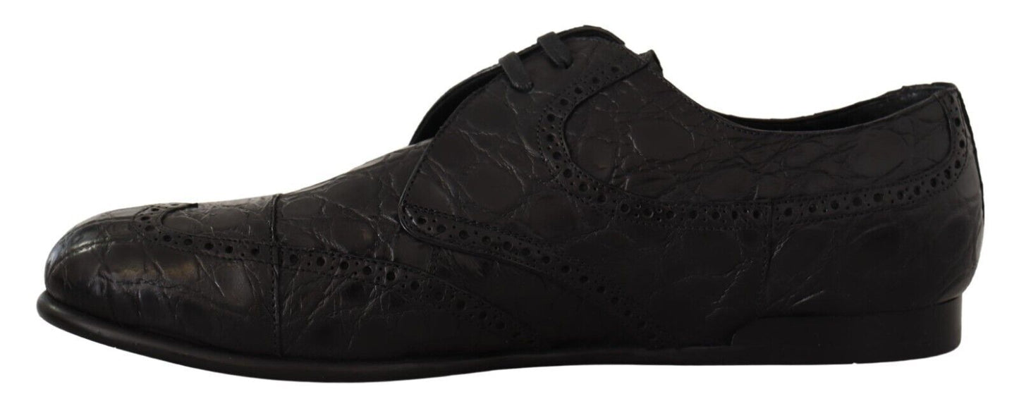 Dolce &amp; Gabbana Chaussures derby en cuir noir Caiman pour hommes