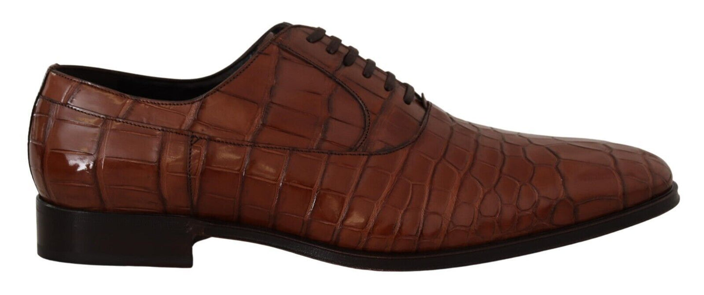 Dolce &amp; Gabbana Chaussures derby formelles en cuir de crocodile marron pour hommes