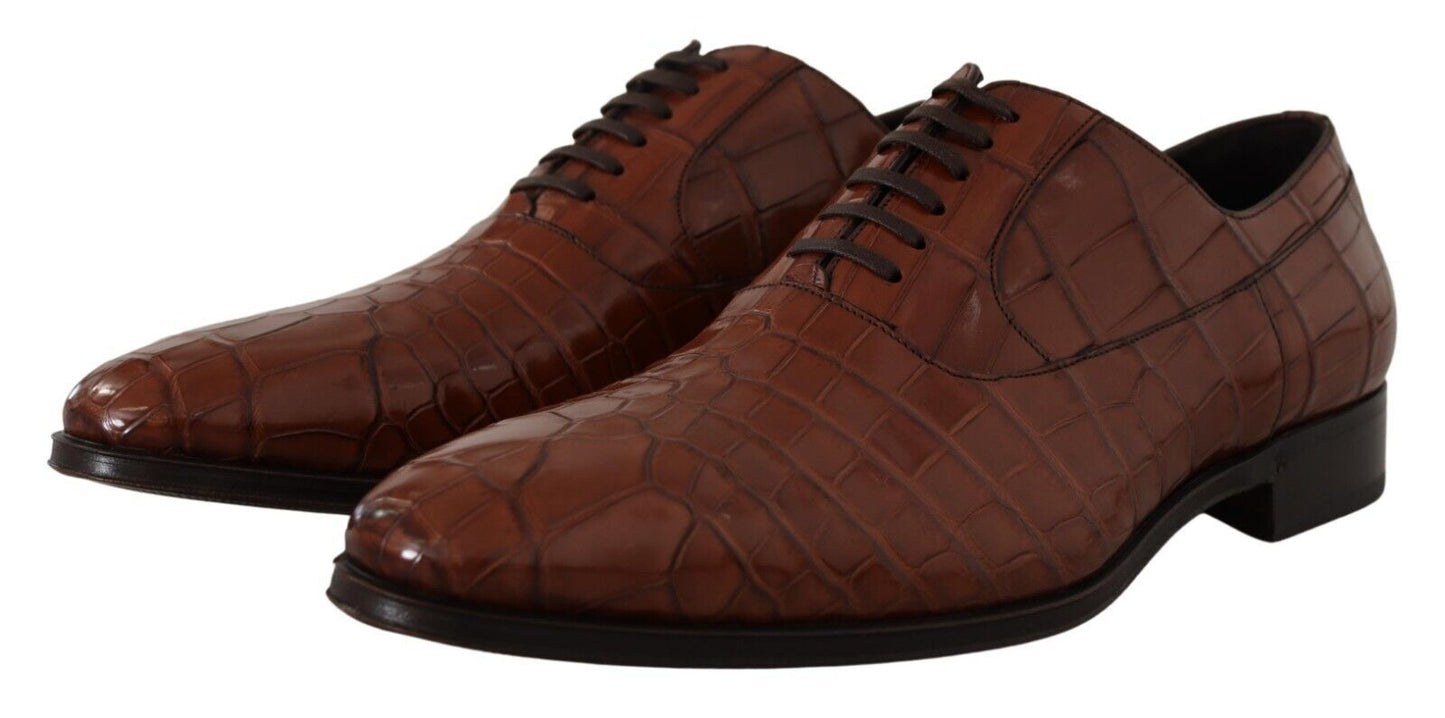 Dolce &amp; Gabbana Braune formelle Derby-Schuhe aus Krokodilleder für Herren