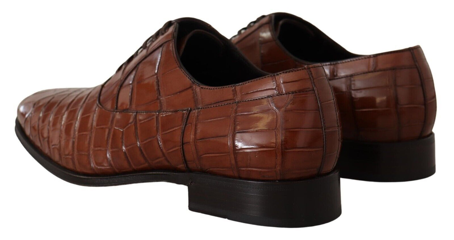 Dolce &amp; Gabbana Chaussures derby formelles en cuir de crocodile marron pour hommes