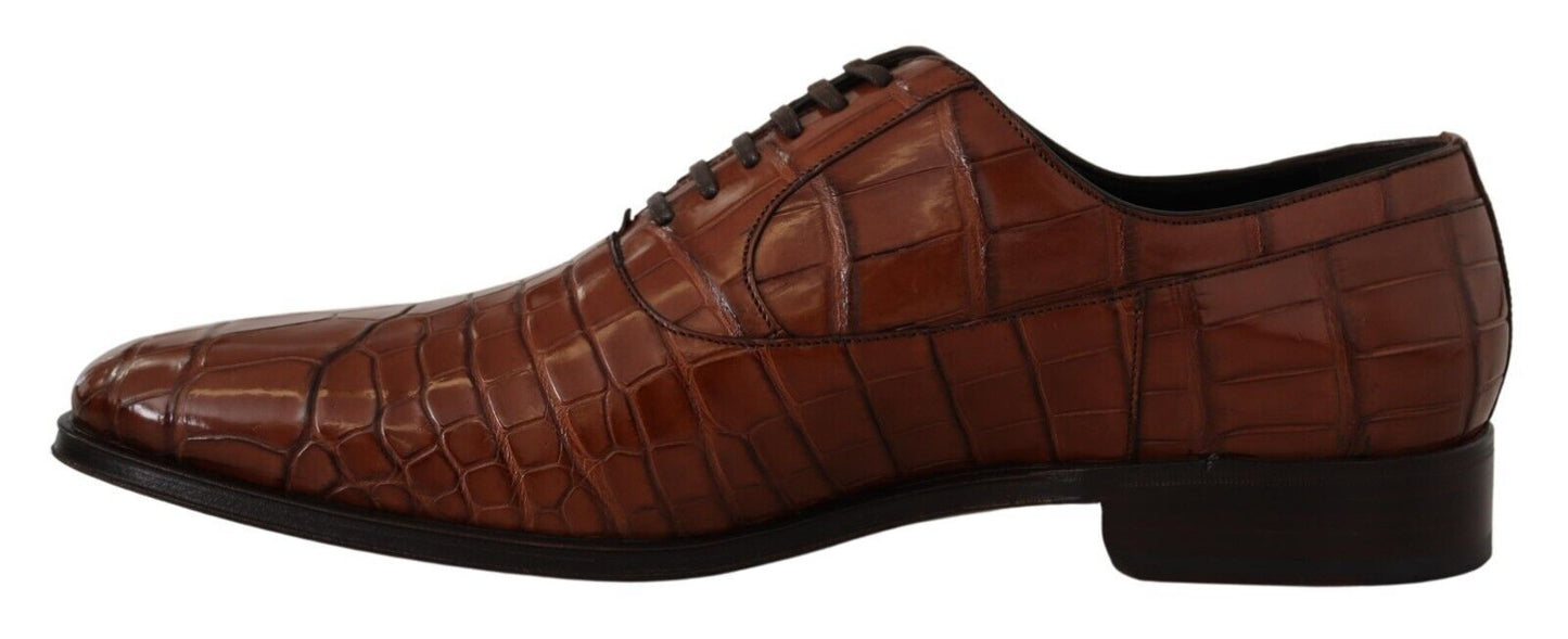 Dolce &amp; Gabbana Chaussures derby formelles en cuir de crocodile marron pour hommes