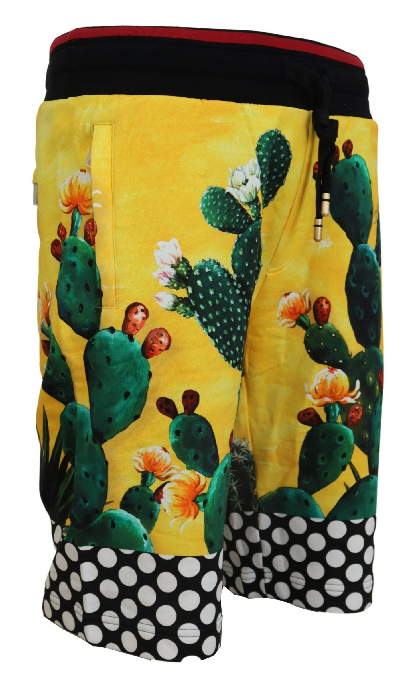 Dolce &amp; Gabbana Short de survêtement en coton à imprimé cactus multicolore