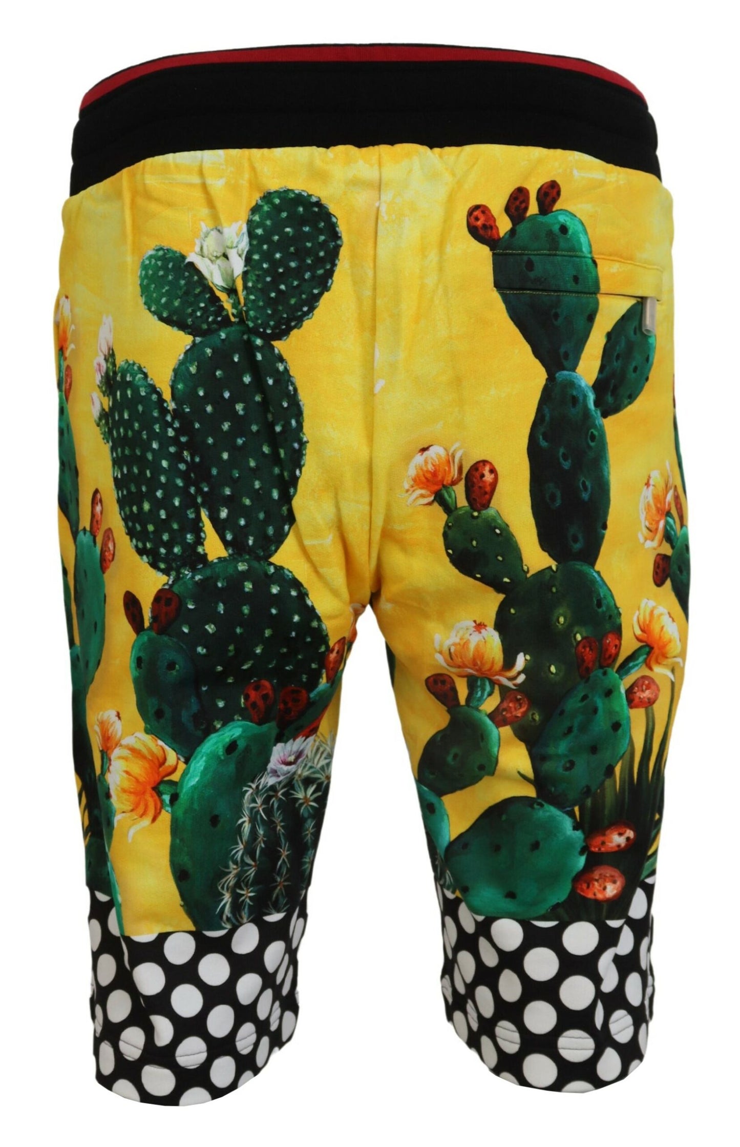 Dolce &amp; Gabbana Short de survêtement en coton à imprimé cactus multicolore