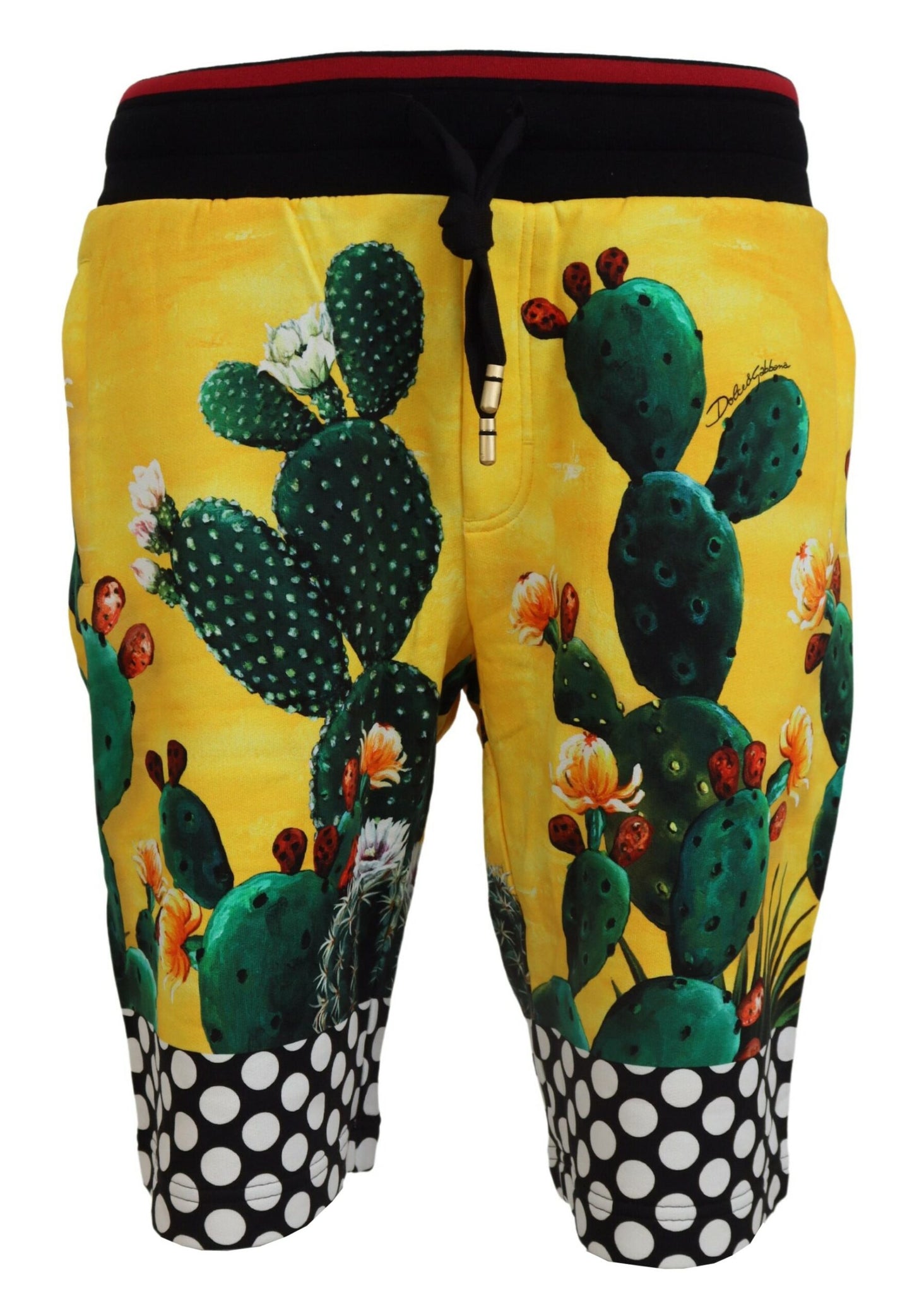 Dolce &amp; Gabbana Short de survêtement en coton à imprimé cactus multicolore