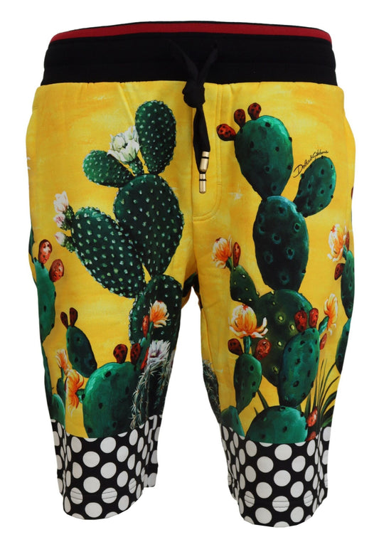 Mehrfarbige Baumwoll-Sweatshorts mit Kaktus-Print von Dolce &amp; Gabbana