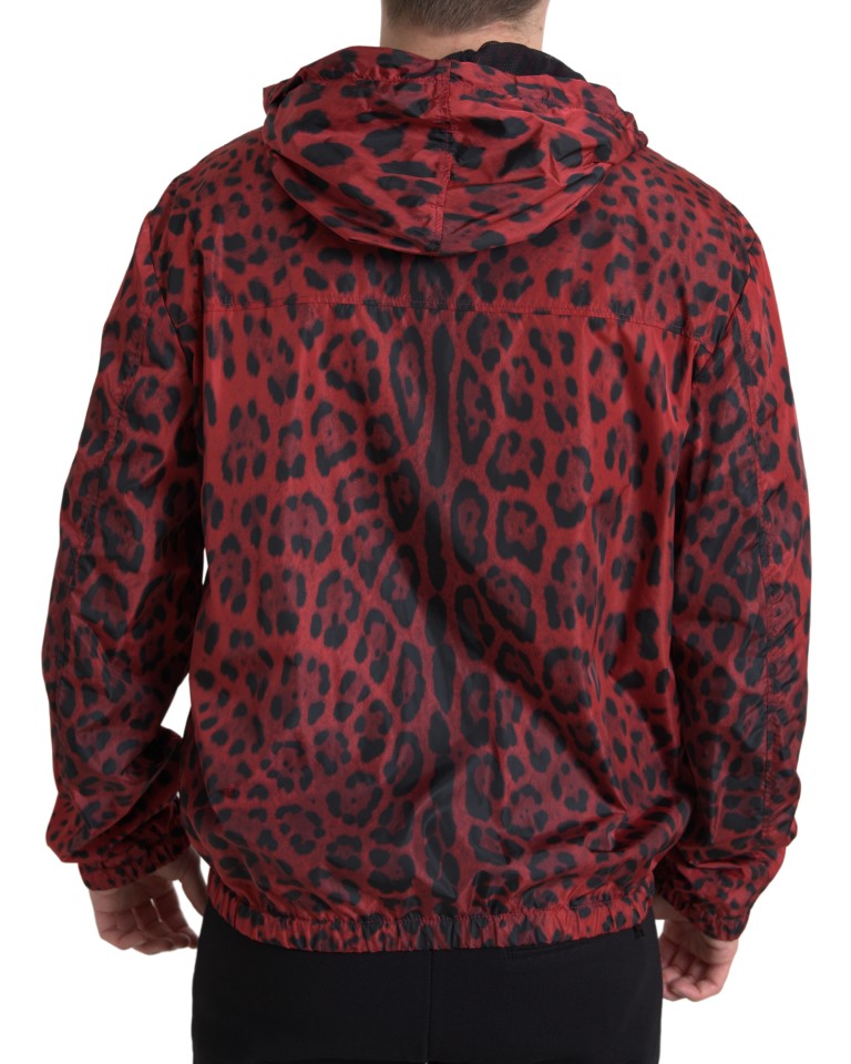 Dolce &amp; Gabbana Veste bomber à capuche léopard rouge entièrement zippée