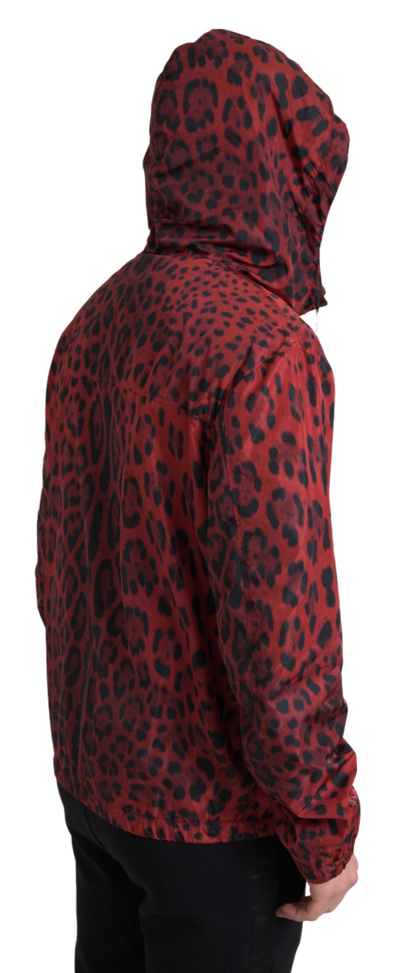 Dolce &amp; Gabbana Veste bomber à capuche léopard rouge entièrement zippée