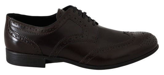 Dolce &amp; Gabbana Chaussures Broques Oxford en cuir marron à bout d'aile