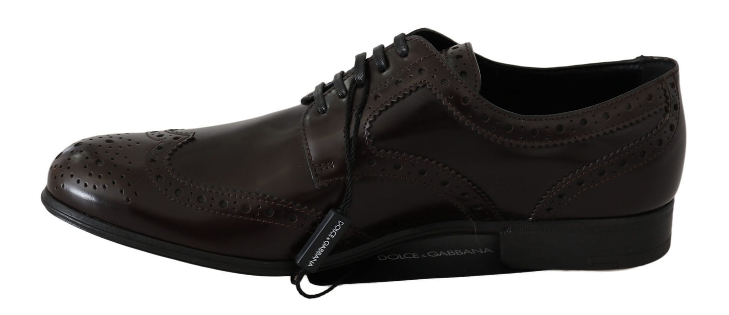 Dolce &amp; Gabbana Broques Oxford Wingtip-Schuhe aus braunem Leder